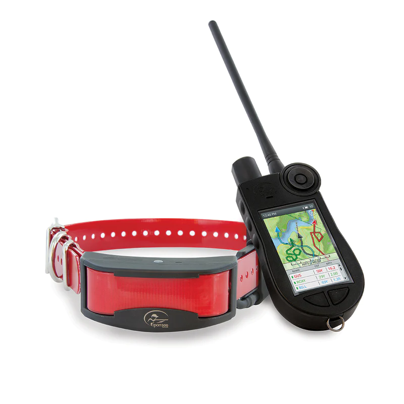 best training collar for dogs